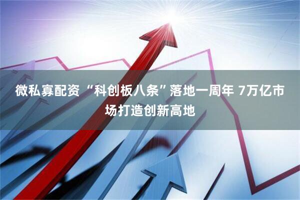 微私寡配资 “科创板八条”落地一周年 7万亿市场打造创新高地
