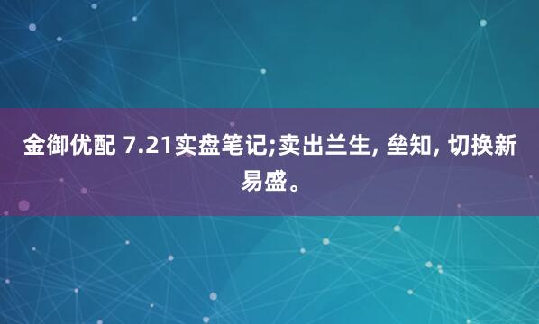 金御优配 7.21实盘笔记;卖出兰生, 垒知, 切换新易盛。