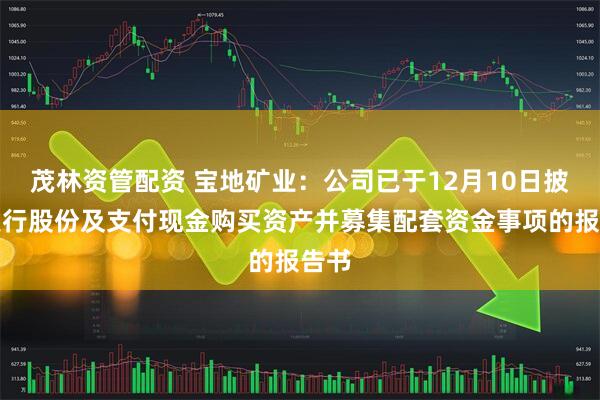 茂林资管配资 宝地矿业：公司已于12月10日披露发行股份及支付现金购买资产并募集配套资金事项的报告书
